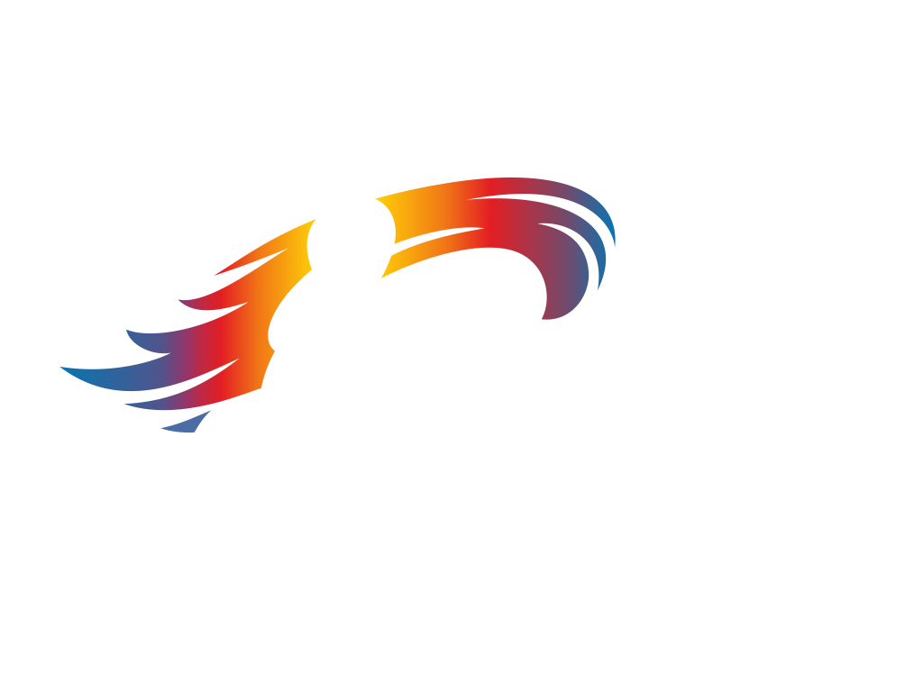 1. MC SHK
